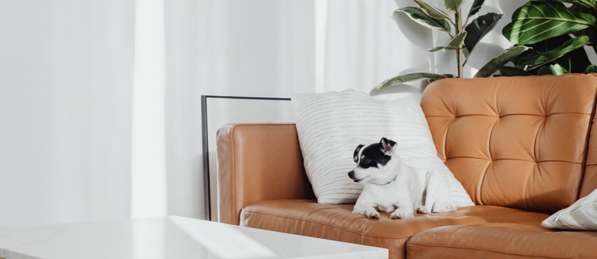 wd-furniture-blog-5-opt